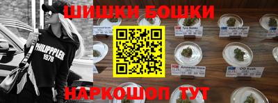 гашик Янаул