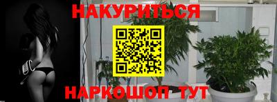 гашик Янаул
