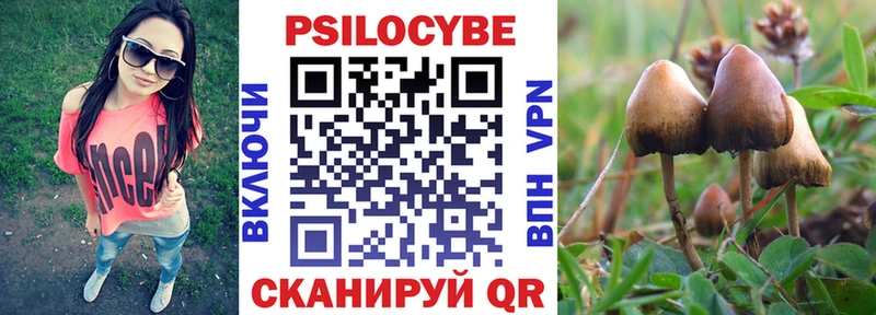 Галлюциногенные грибы Cubensis  Барабинск 
