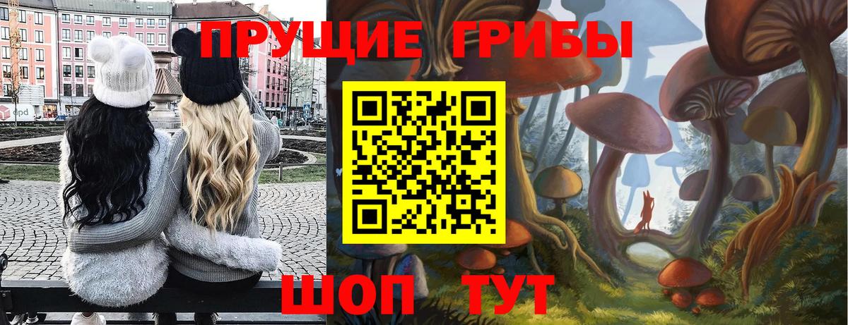 Барабинск  Псилоцибиновые грибы Magic Shrooms  Вход с VPN 